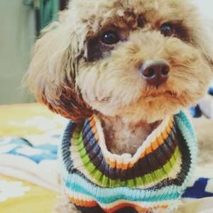 Meet your Posher, Qiong